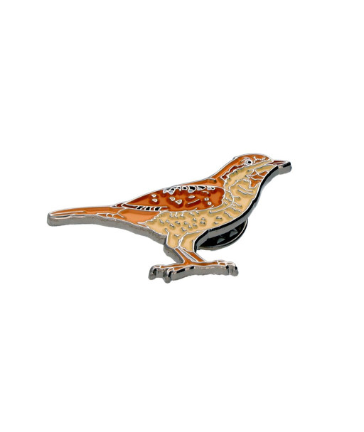 Eurasian Wryneck Enamel Pin